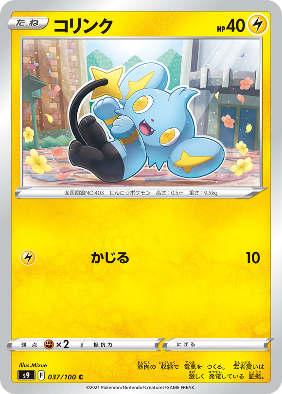 037 Shinx S9: Star Birth Expansion Sword & Shield Japanese Pokémon card