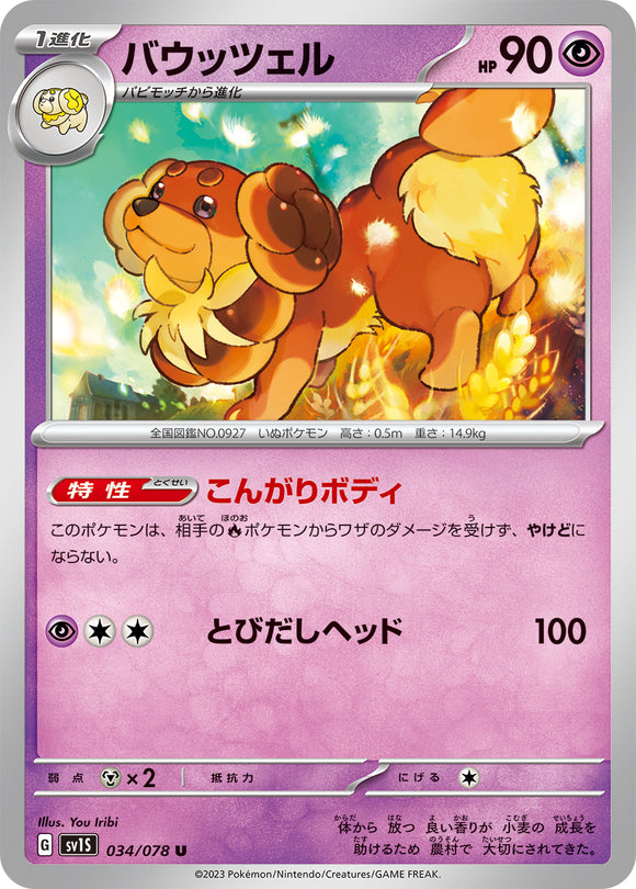 034 Dachsbun SV1s Scarlet ex Expansion Scarlet & Violet Japanese Pokémon card