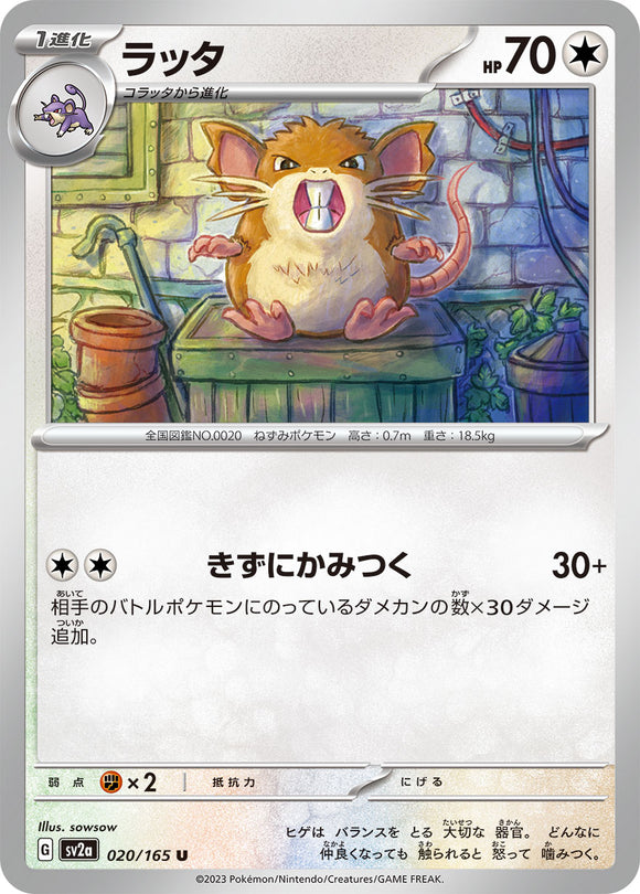 020 Raticate SV2a: Pokémon 151 expansion Scarlet & Violet Japanese Pokémon card