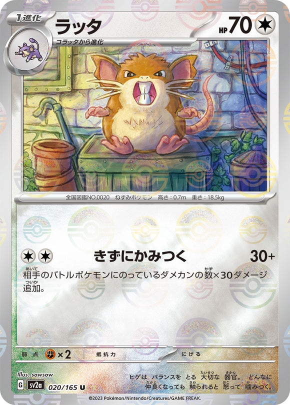 020 Raticate SV2a: Pokémon 151 expansion Scarlet & Violet Japanese Master Ball Pokémon card