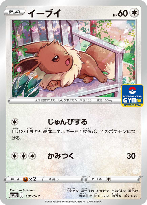 Pokémon Single Card: S-P Sword & Shield Promotional Card Japanese 181 Eevee