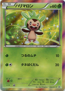 034 Chespin XY-P Promotional Japanese Pokémon Card in Near Mint/Mint Condition.