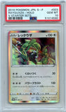 Pokémon PSA Card: 2019 Japanese S Promo 003 Rayquaza V GEM Mint 10 51014590